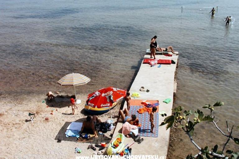 Pansion Muscet – photo 9