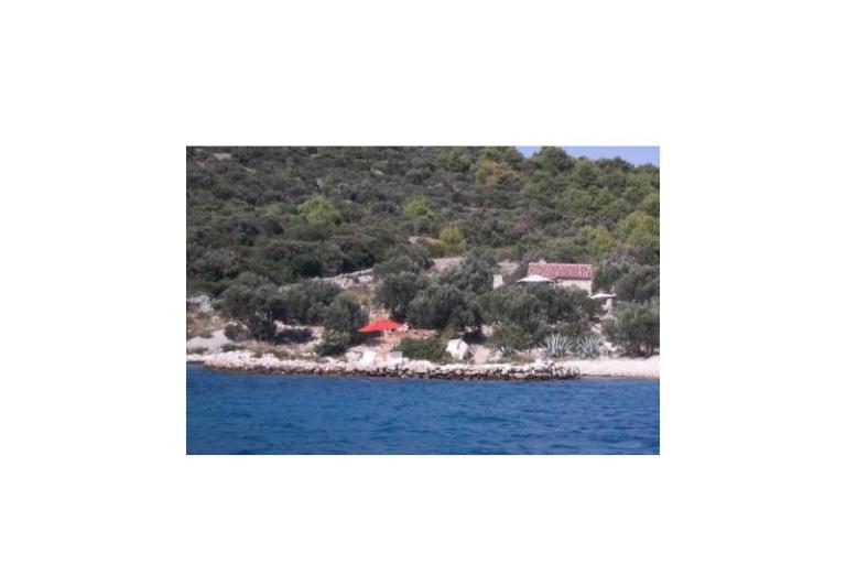 Robinson Rudika – photo 7