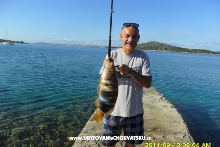 Robinzon Lanterna – photo 15