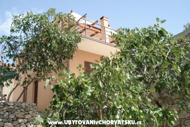 apartman Barbara – photo 4