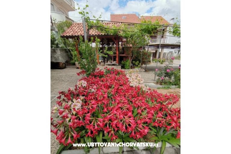Apartments Ivan  – photo 14