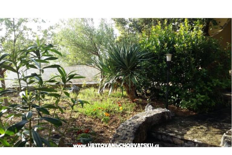 Apartments Dani – photo 11