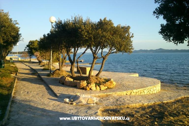 Apartments Dani – photo 8