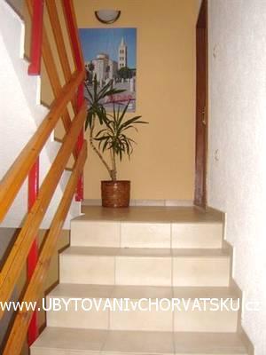 Ferienwohnung-Apartments Rosa – photo 7
