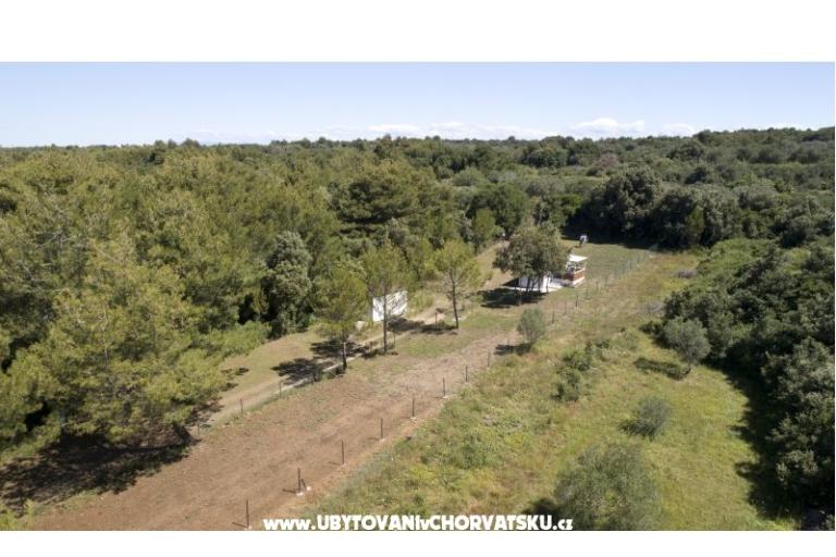 Mobile home Plat Kožino – photo 11