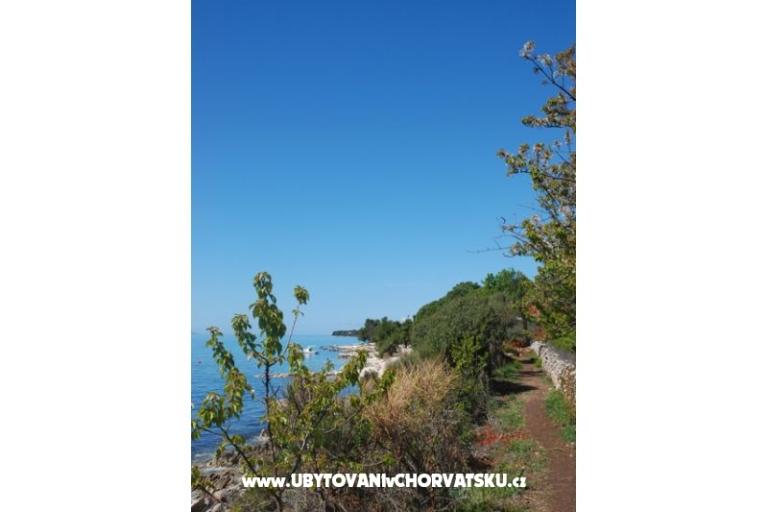 Vila Emila – photo 10