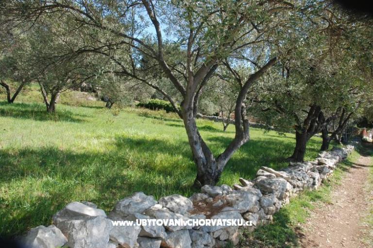 Vila Emila – photo 11