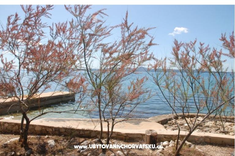 Vila Emila – photo 12