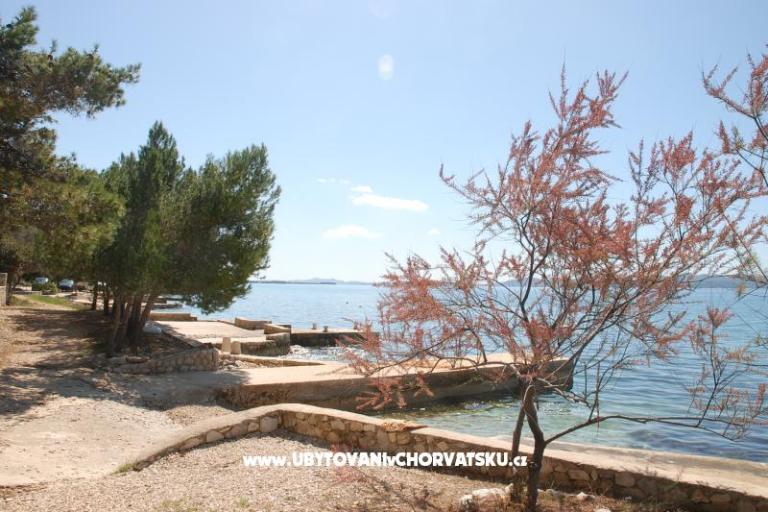 Vila Emila – photo 15