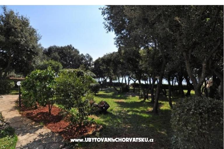 Vila Emila – photo 16