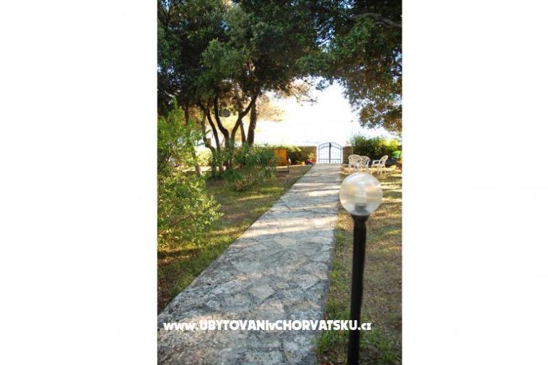 Vila Emila – photo 3