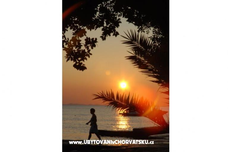 Vila Emila – photo 8