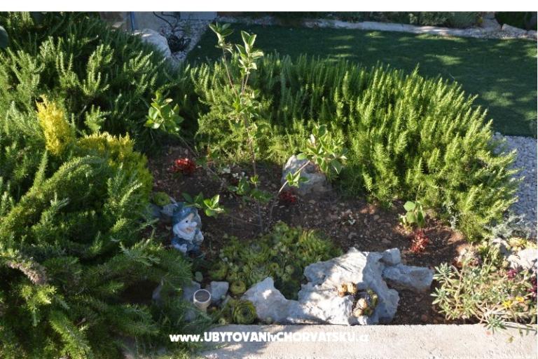 Apartments Biserka – photo 3