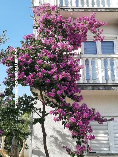 Apartments Lana Pirovac – photo 21