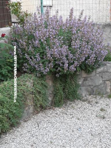 Apartments Lana Pirovac – photo 26