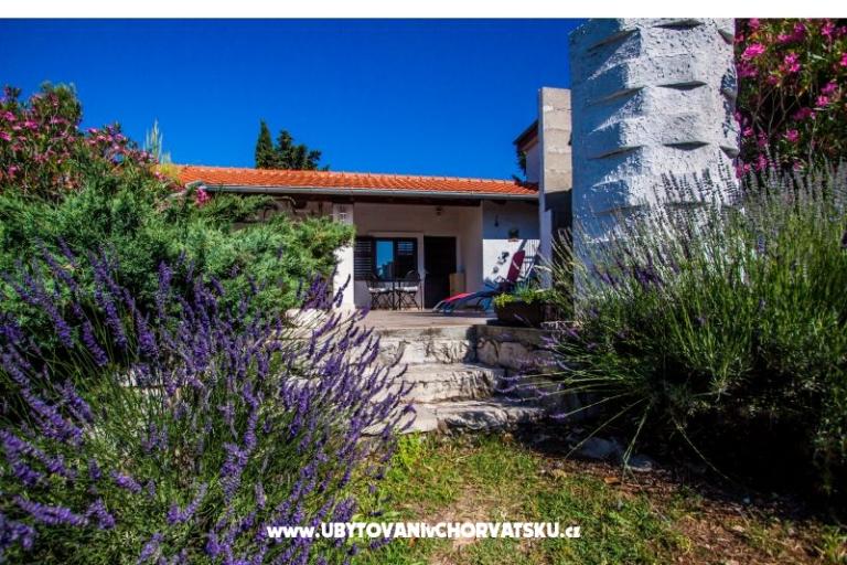 PIROVAC APARTMENTS *** – photo 9