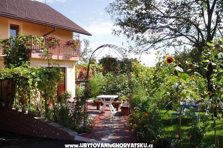 Apartma Hodak – photo 3
