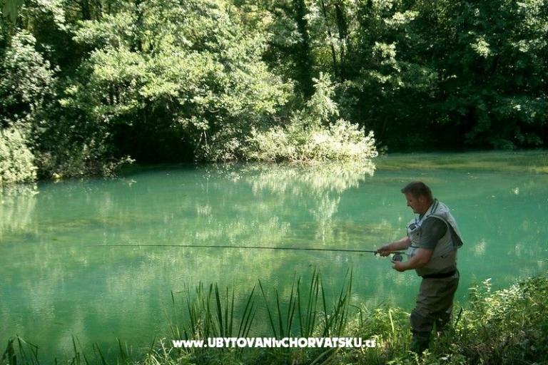 Apartments Lucić – photo 15