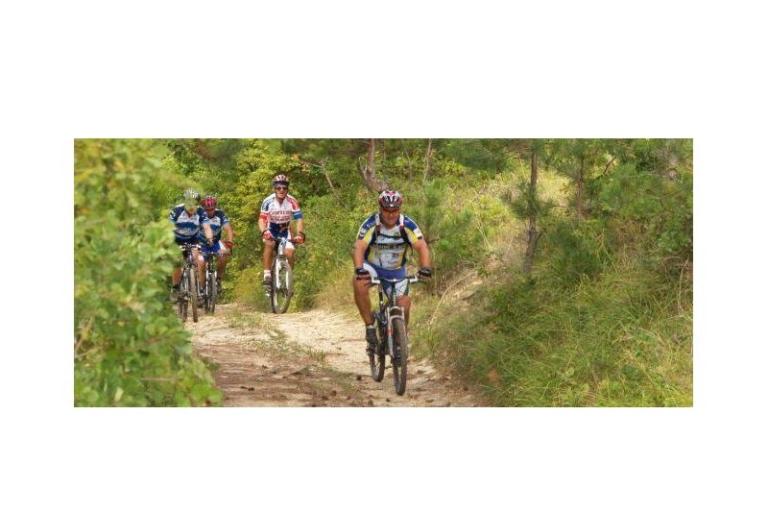 Apartments Lucić – photo 16