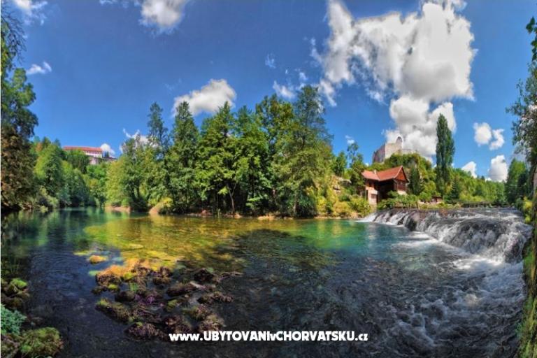 Apartments Lucić – photo 8