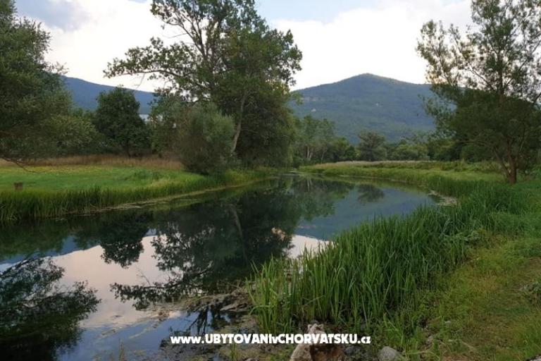 Apartments Paradiso – photo 10