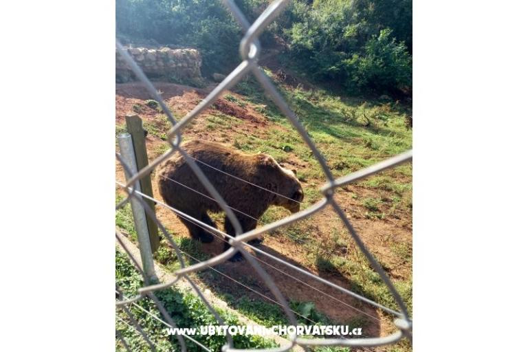 Apartments Paradiso – photo 11