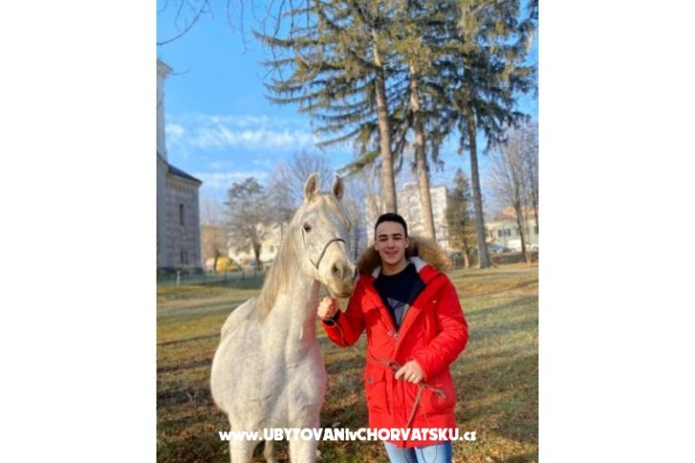 Apartments Paradiso – photo 14