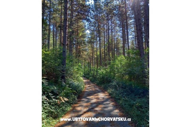 Apartments Paradiso – photo 15