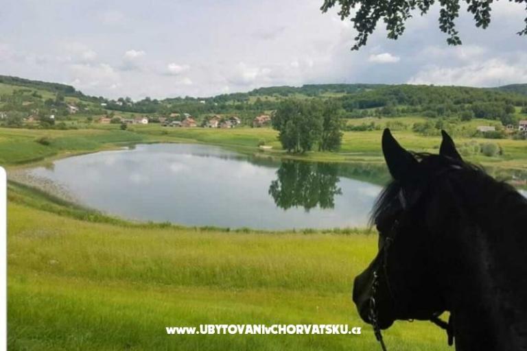 Apartments Paradiso – photo 7