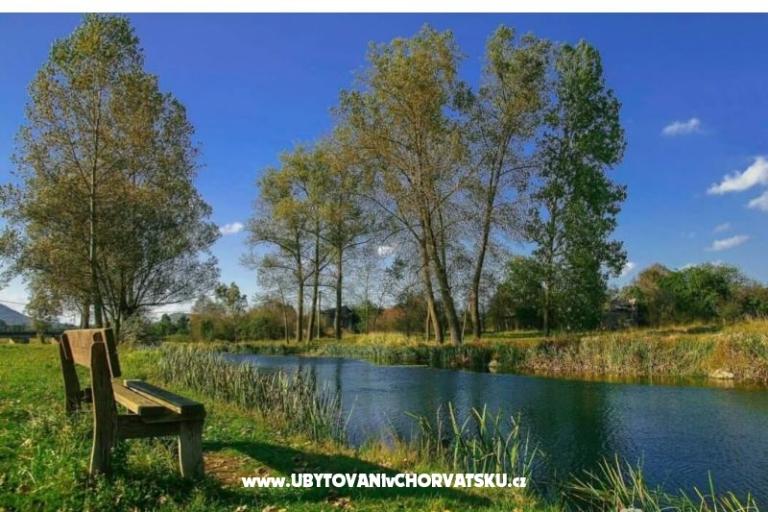 Apartments Paradiso – photo 8