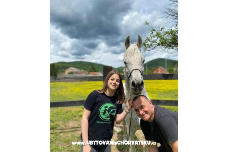 Apartments Paradiso – photo 9