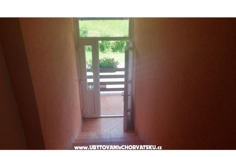 Blazenka Hodak – photo 10