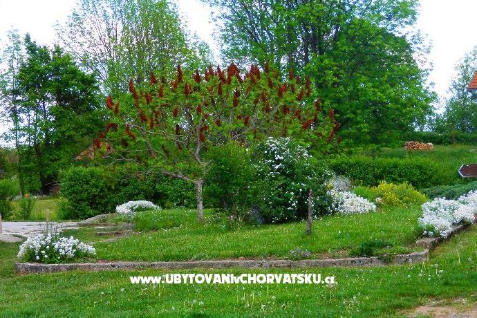 Blazenka Hodak – photo 2