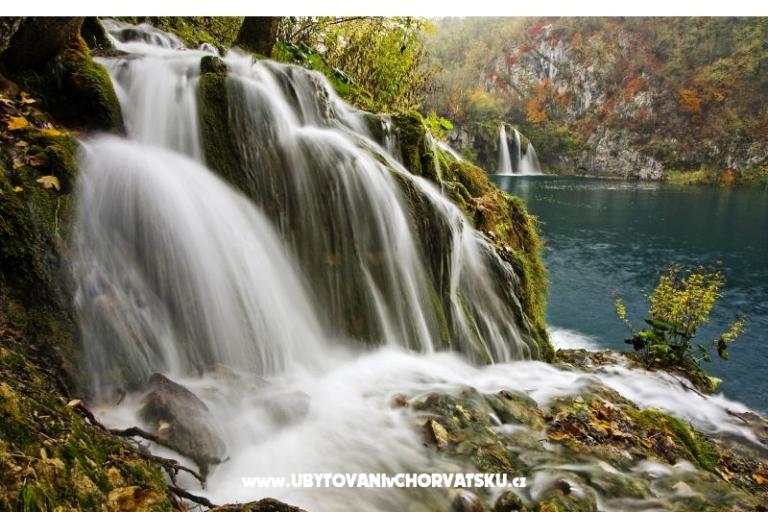 Etno garden – photo 11