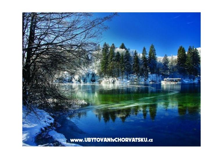 Etno garden – photo 15