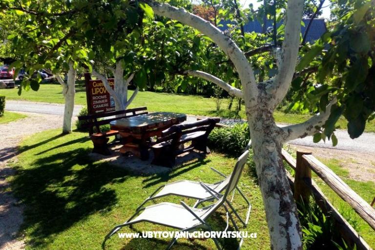 Guest House Lipov Hlad – photo 11