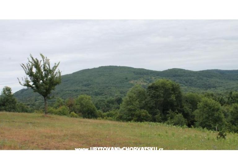 House Marijana – photo 6