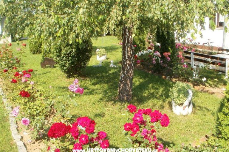 House Pavlic – photo 14