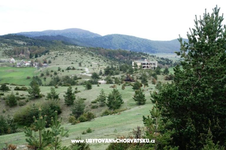 Naturalika  – photo 17