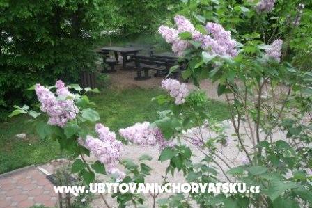 Rooms Veronika – photo 13