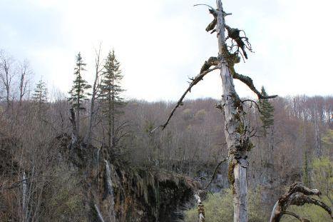 Apartments Marija – photo 6