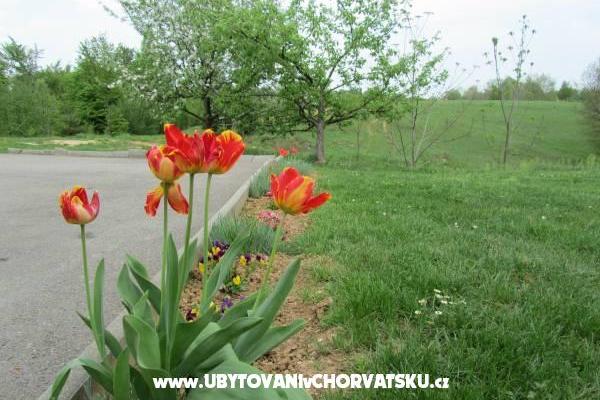 Rooms Sanja – photo 14