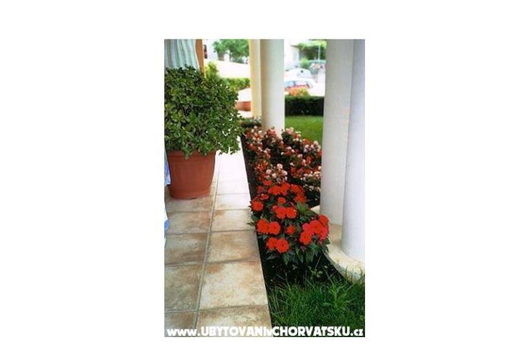 Villa Mozart – photo 13