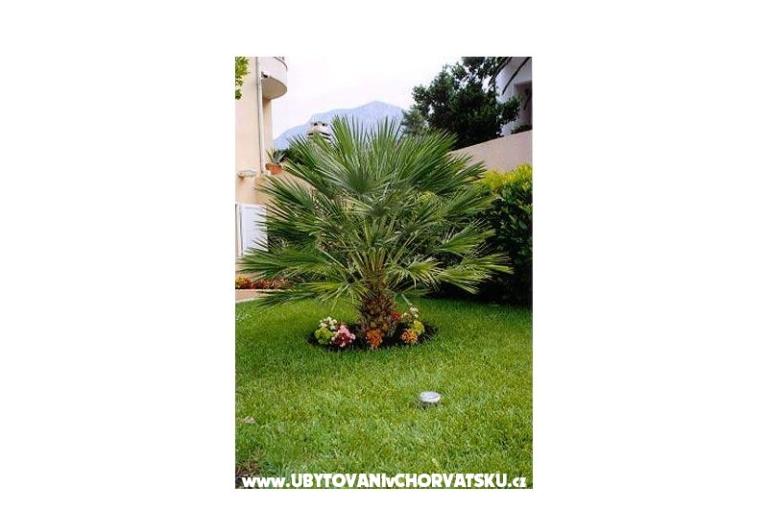 Villa Mozart – photo 16