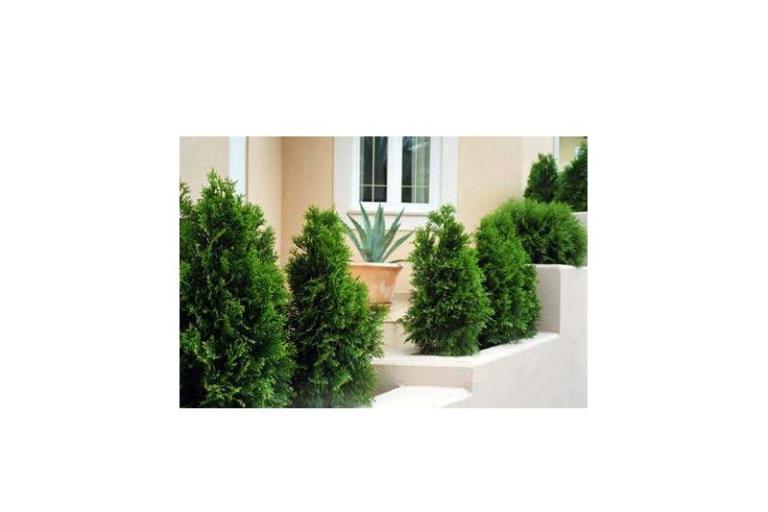 Villa Mozart – photo 18