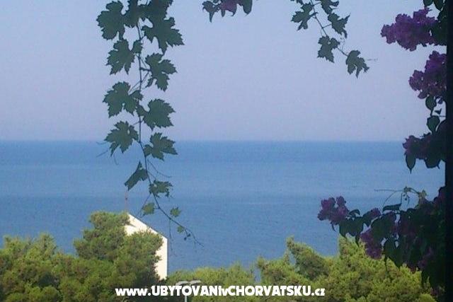 Apartments Antonela Drašnice – photo 8