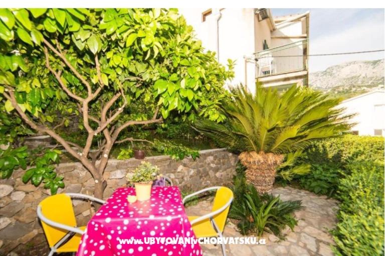 Apartments Kala – photo 6