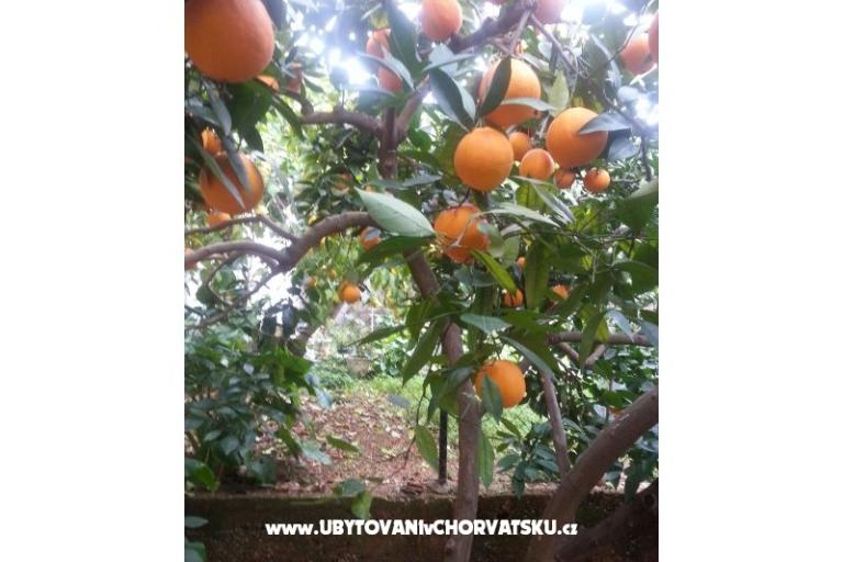 Apartments Mila – photo 14