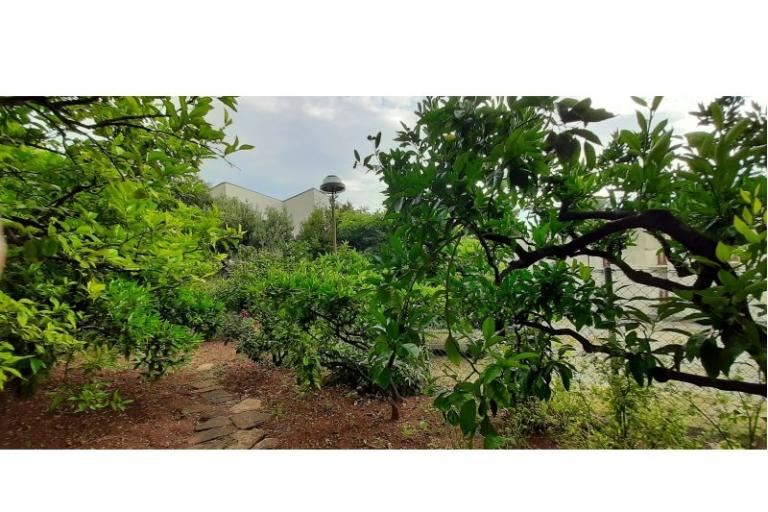 Apartments Mila – photo 3