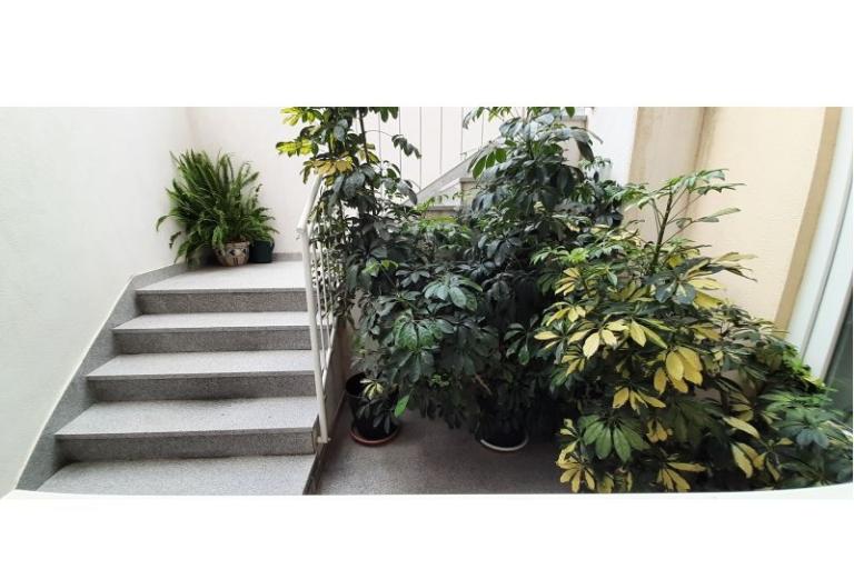 Apartments Mila – photo 4